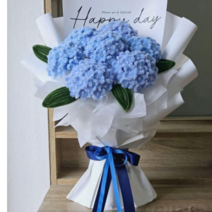 hoa kẽm nhung cẩm tú cầu cloudyday