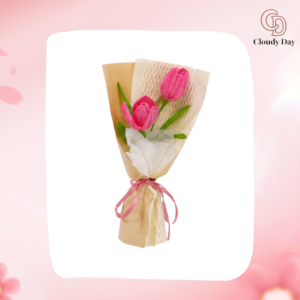 Bó Hoa Tulip Kẽm Nhung 2 Bông – Món Quà Handmade Độc Đáo
